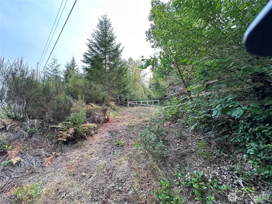 0 NE Dewatto Holly Road, Tahuya, WA 98588 - #2