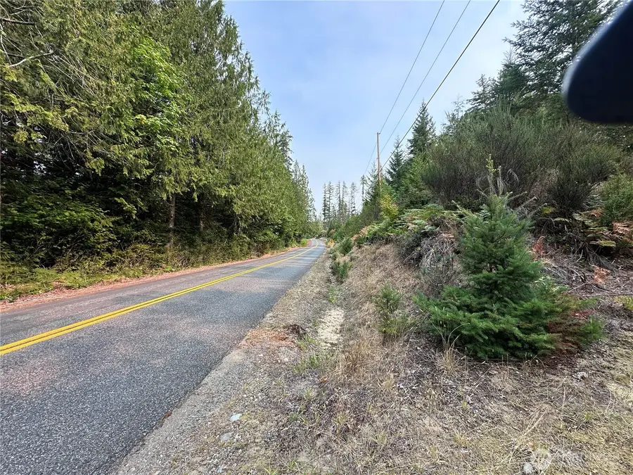 0 NE Dewatto Holly Road, Tahuya, WA 98588 - #3