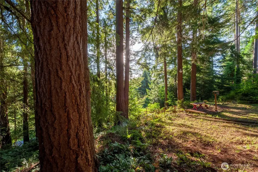 1265 Island Drive, Lummi Island, WA 98262 - #3