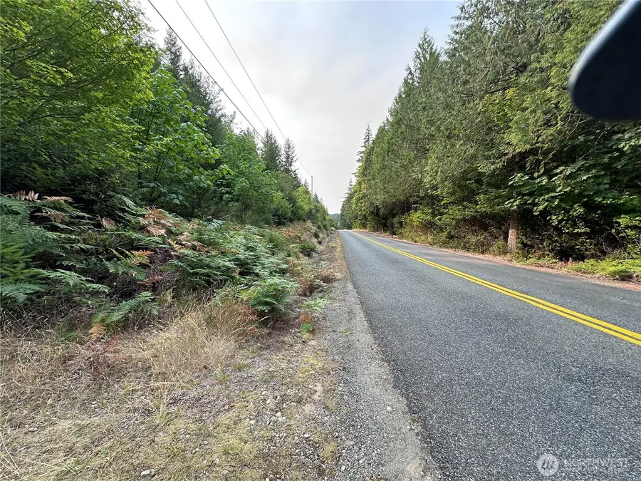 0 NE Dewatto Holly Road, Tahuya, WA 98588 - #3