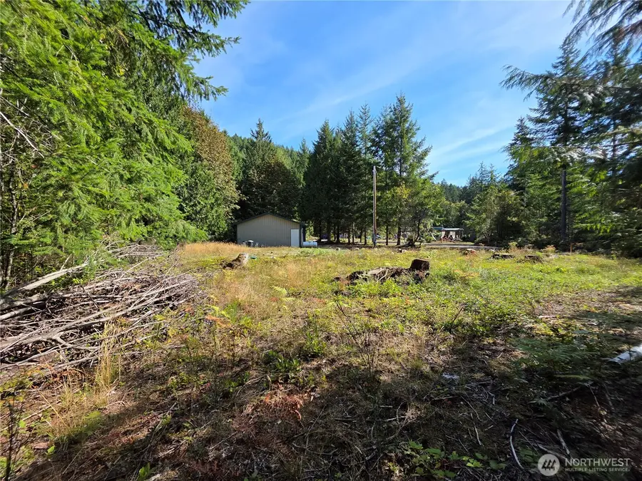 92 Belgian Drive #240, 241, 242, Brinnon, WA 98320 - #3