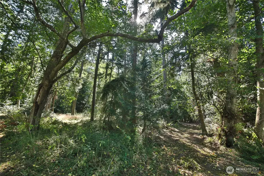 1 Scenic Avenue #1, Freeland, WA 98249 - #2