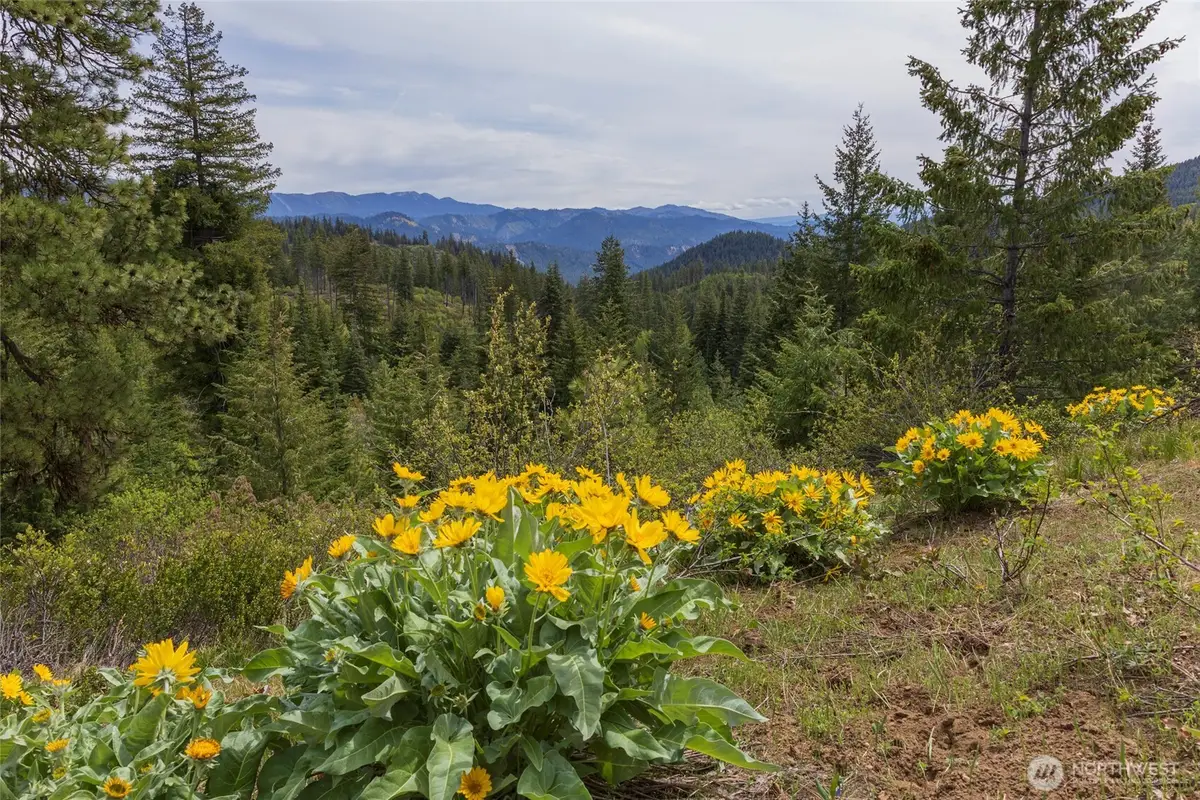 0 Forest Service 6601-550 Rd #B, Leavenworth, WA 98826 - #1