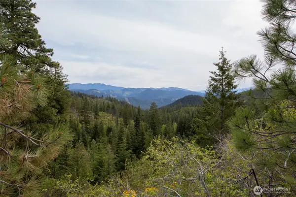 0 Forest Service 6601-550 Rd #C, Leavenworth, WA 98826