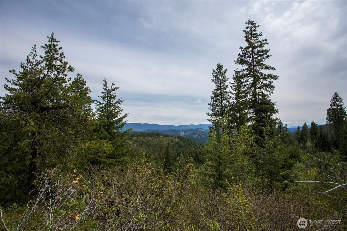 0 Forest Service 6601-550 Rd #D, Leavenworth, WA 98826 - #1