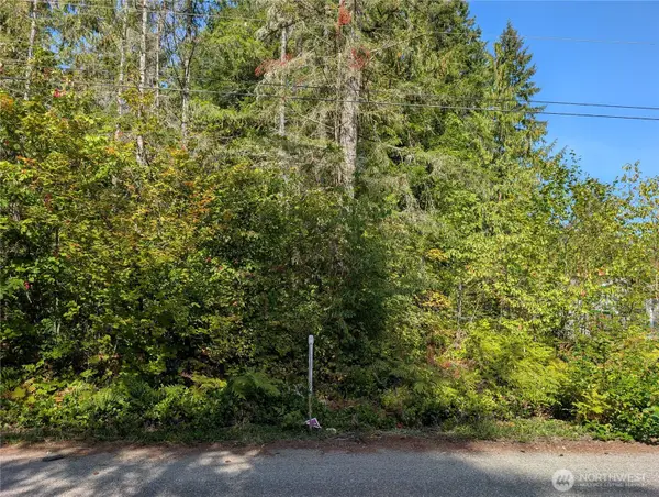 459 Baker Drive, Concrete, WA 98237