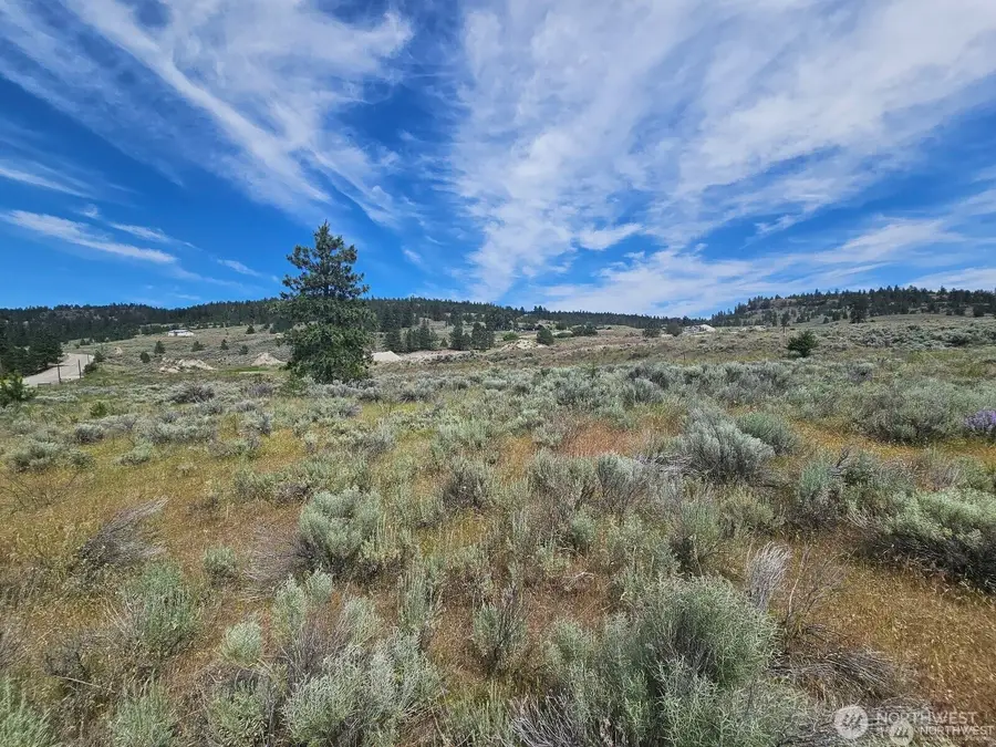 716 Havillah Road, Tonasket, WA 98855 - #2