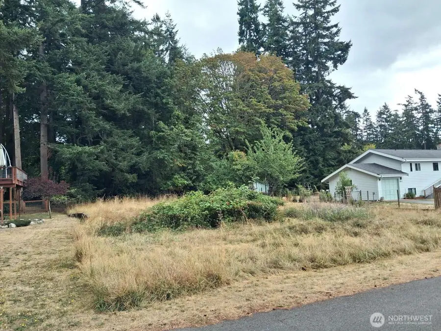 57 S Mountain View Lane, Freeland, WA 98249 - #2