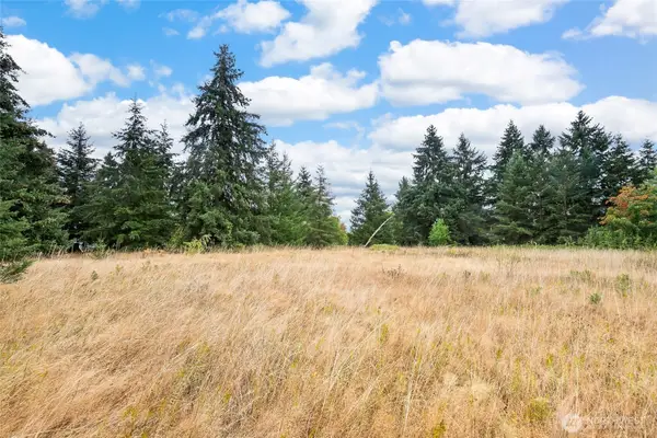 0 Case Road Sw, Rochester, WA 98579