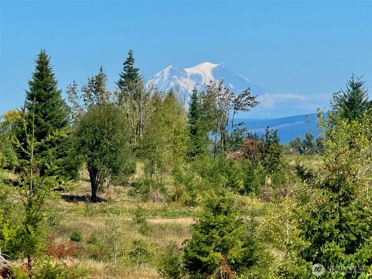 175 Sawall Avenue #7, Centralia, WA 98531 - #1