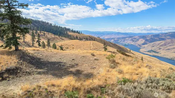0 Melvin Road #8, Waterville, WA 98858