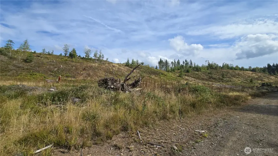 0 Tubbs Road #29, Buckley, WA 98321 - #3