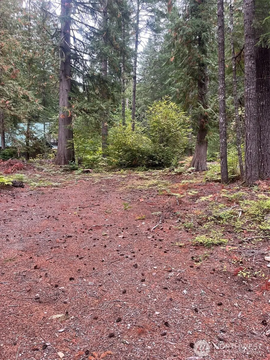 10516 000-000, White Pass, WA 98937 - #3