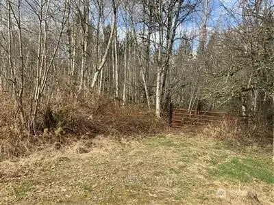 252 SE Green Valley Rd, Black Diamond, WA 98010 - #1