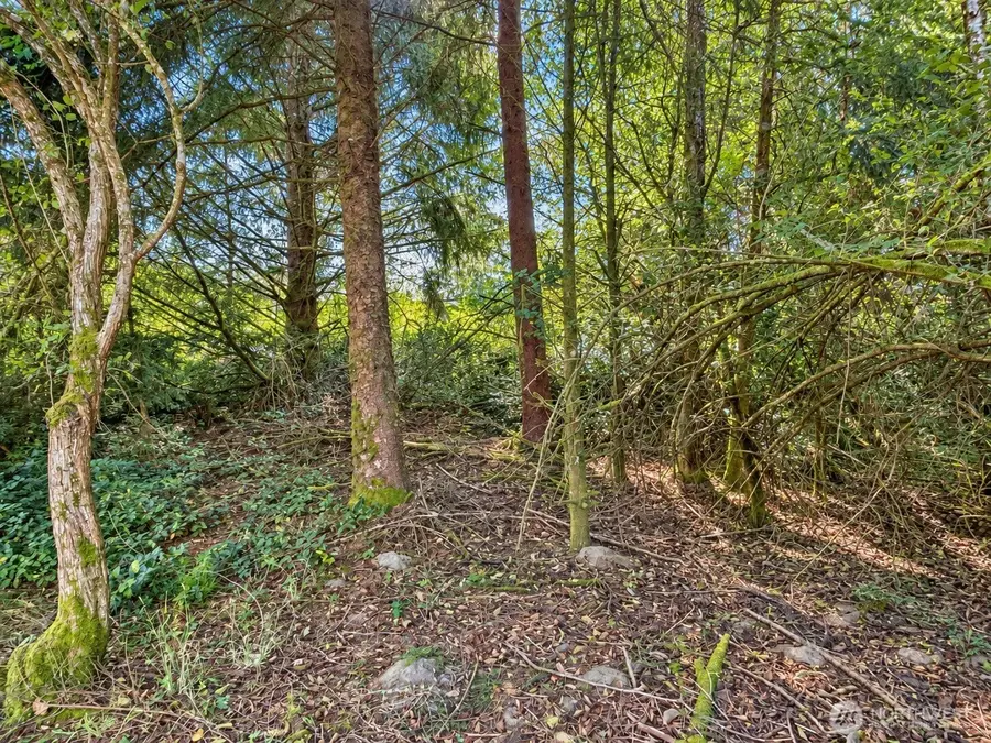 339 Redwood Court Se #7, Ocean Shores, WA 98569 - #2