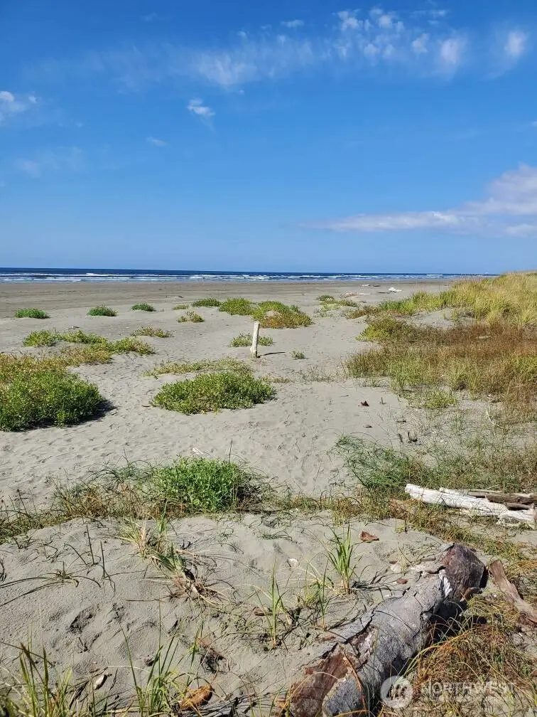 61 Sunset Street #Lots 7 or 8, Moclips, WA 98562 - #2