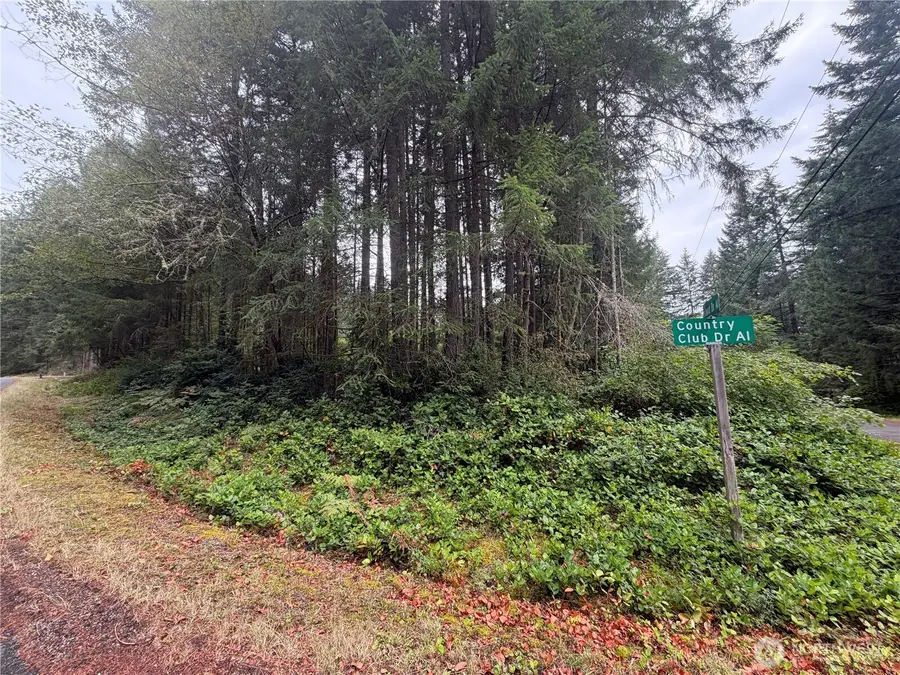 11928 Country Club Drive, Anderson Island, WA 98303 - #2