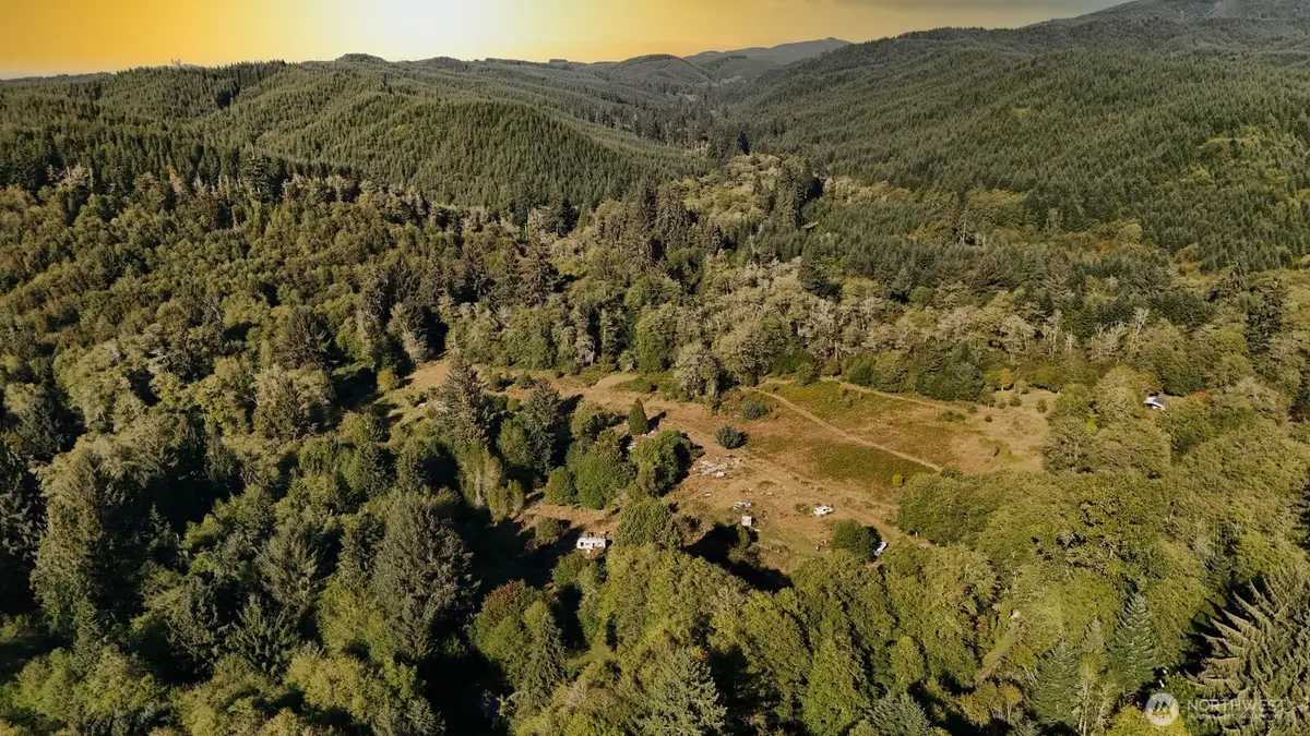 273 Pioneer Creek Lane, Cosmopolis, WA 98537 - #1