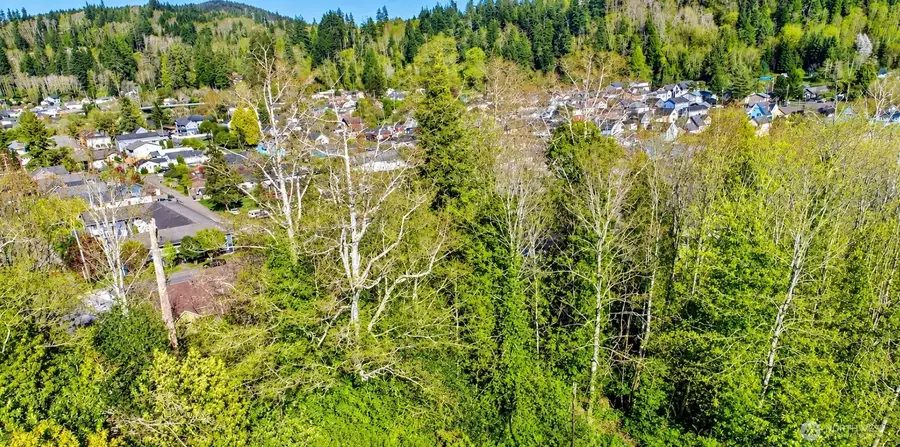 0 N B Street Lane #1, Aberdeen, WA 98520 - #2