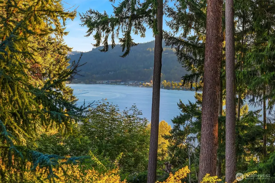 2911 198th Avenue Se, Sammamish, WA 98075 - #3