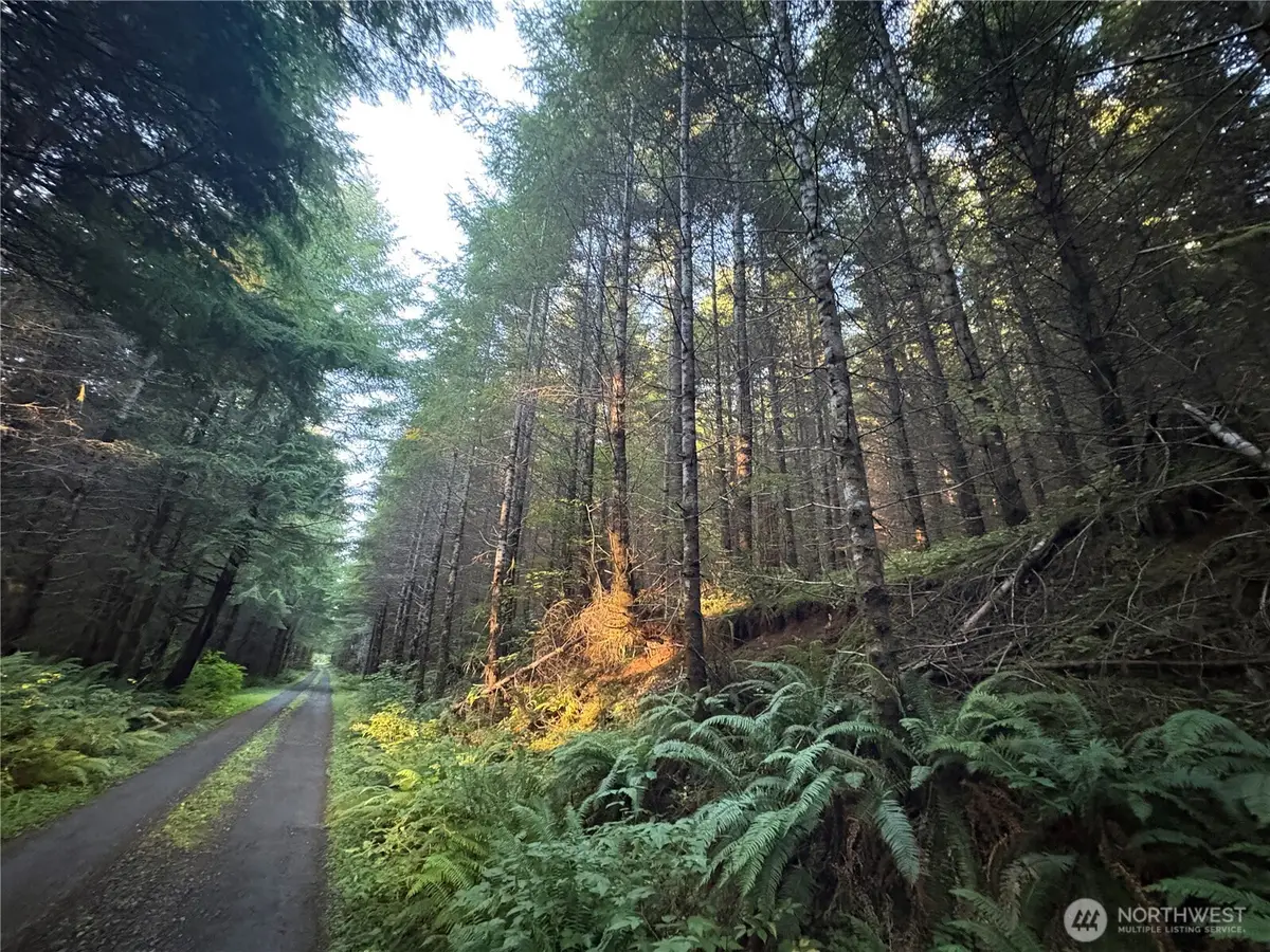 0 Wiest Road, Longview, WA 98632 - #1