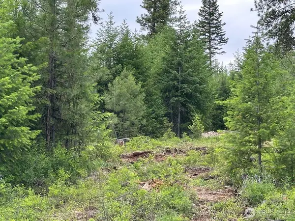 3600 Sheridan Road, Republic, WA 99166