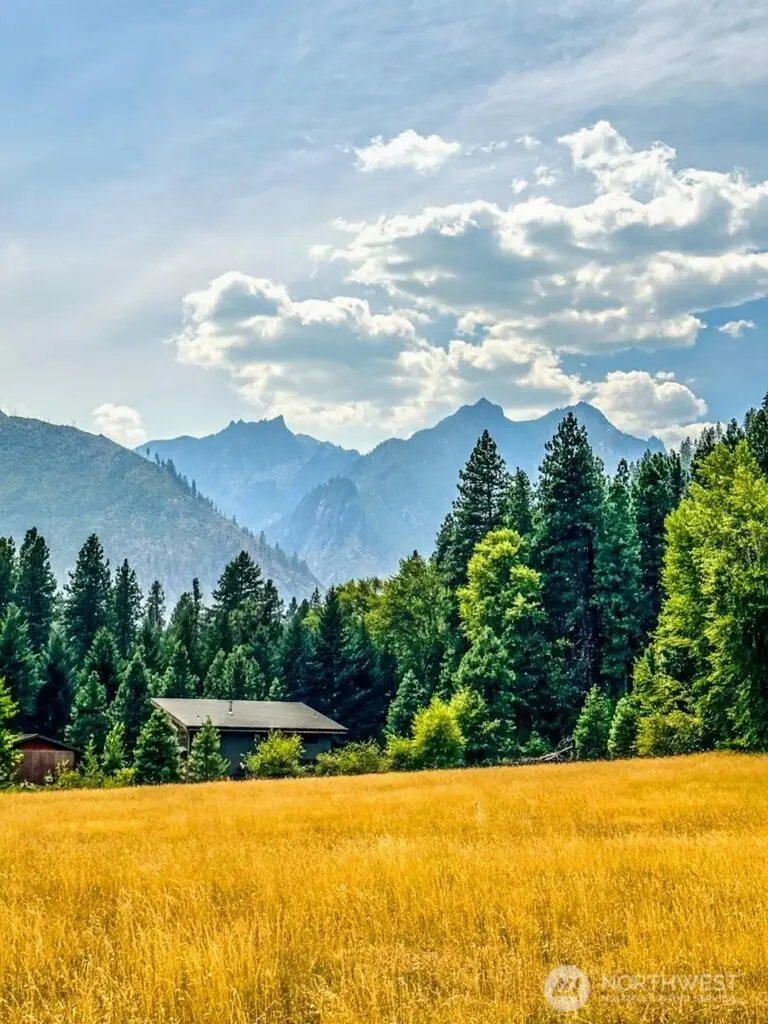 99 Latigo Lane #1, Leavenworth, WA 98826 - #2