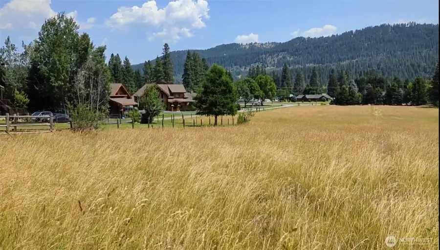 99 Latigo Lane #1, Leavenworth, WA 98826 - #3
