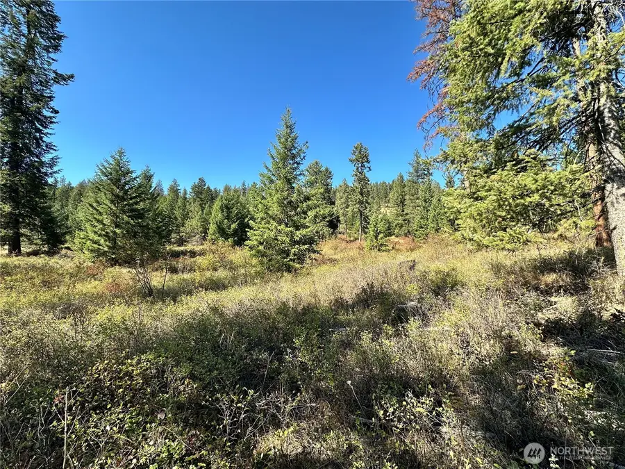 1 Lot 1 Deadman Creek Rd, Kettle Falls, WA 99141 - #3