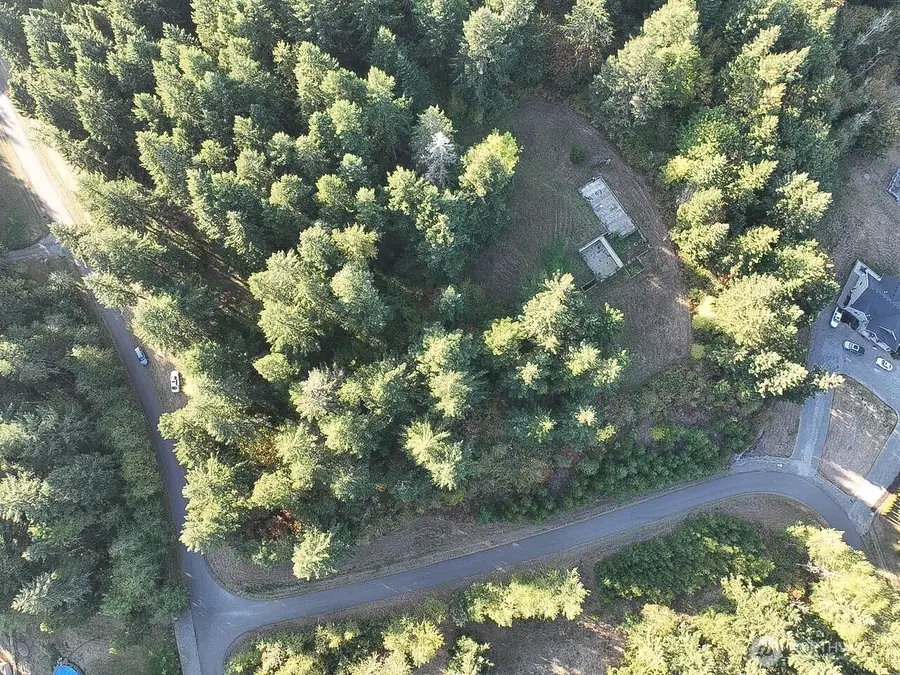 12626 Gilling Lane Se, Yelm, WA 98597 - #2