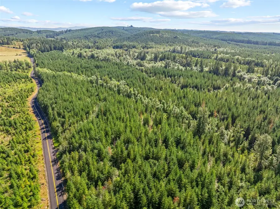 0 Finkas Road, Toutle, WA 98649 - #2