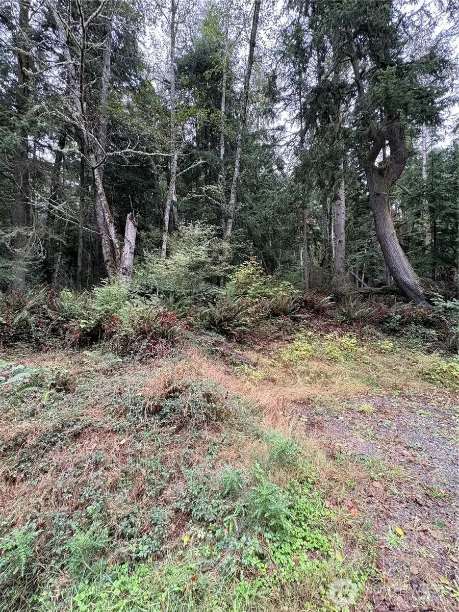 123 Smugglers Cove Rd, Greenbank, WA 98253 - #2