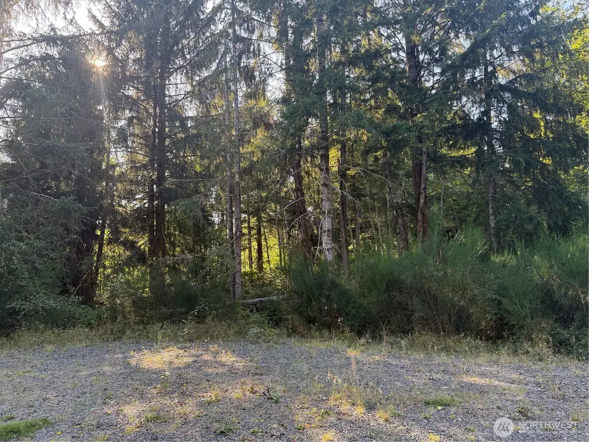 99918 Thomas Court #18, Forks, WA 98331 - #1