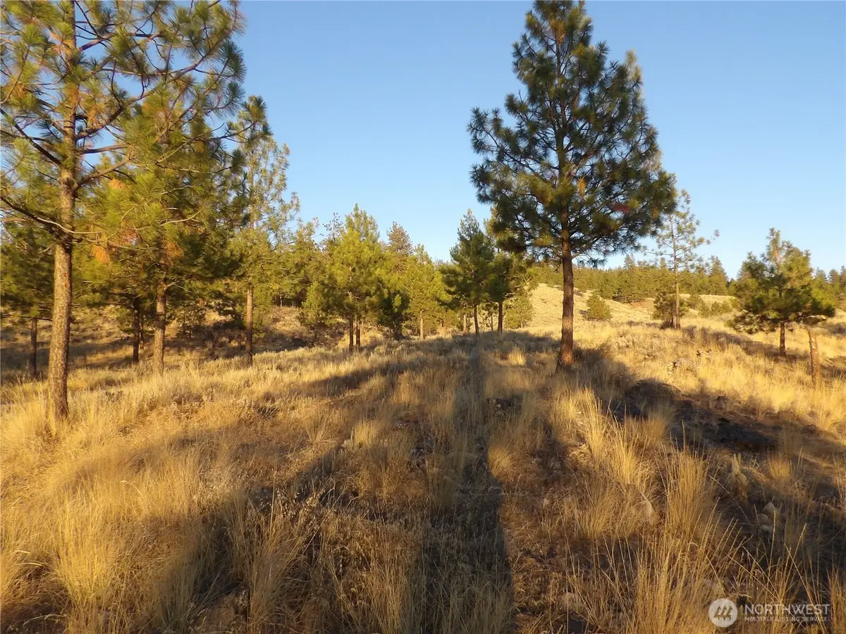 0 Tbd Bear Camp Road, Tonasket, WA 98855 - #1