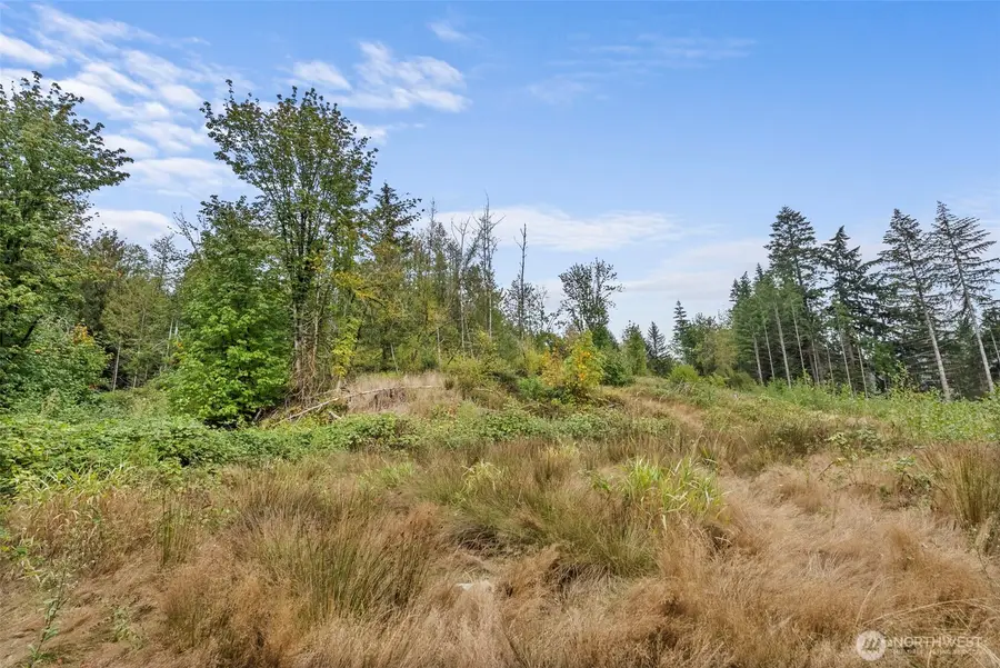 0 Coal Creek Road, Chehalis, WA 98532 - #3