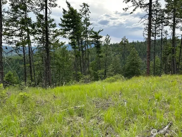 3600 Sherian Road, Republic, WA 99166