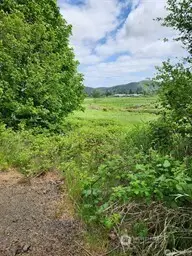 443 State Hwy 6, Raymond, WA 98577 - #1