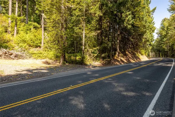 0 Skate Creek Road S #1 & 2, Packwood, WA 98361