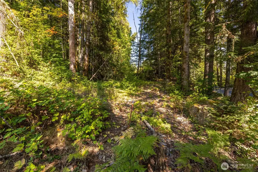 0 Skate Creek Road S #1 & 2, Packwood, WA 98361 - #2