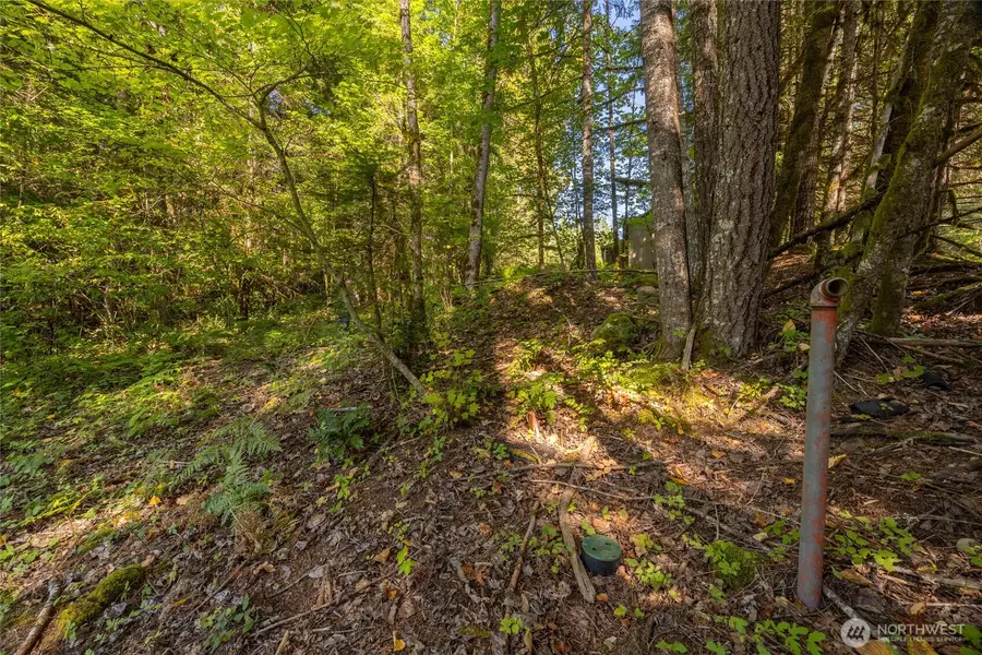 0 Skate Creek Road S #1 & 2, Packwood, WA 98361 - #3