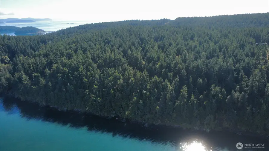0 Thatcher Pass Road, Blakely Island, WA 98221 - #2