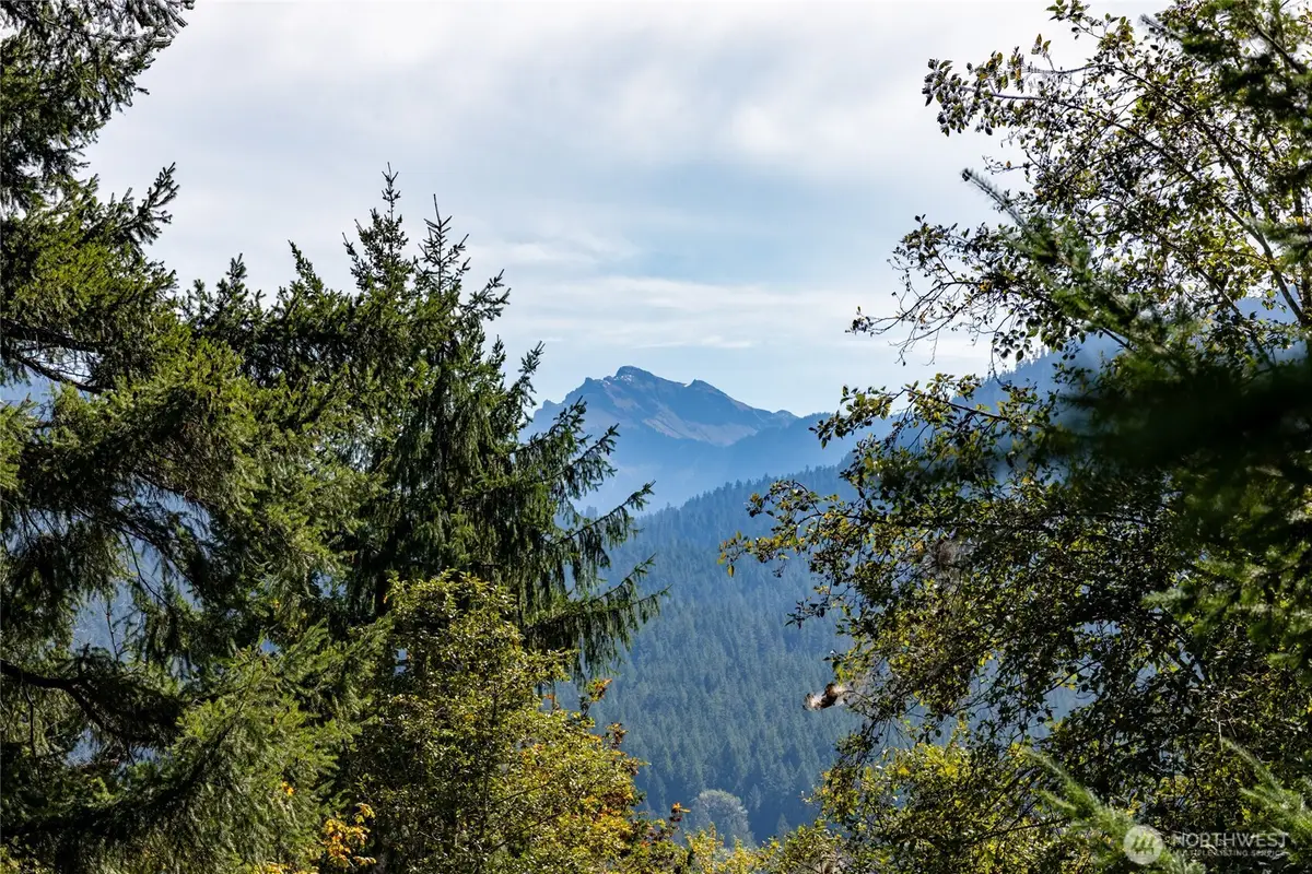 199 Hinkle Tinkle Lane, Packwood, WA 98361 - #1