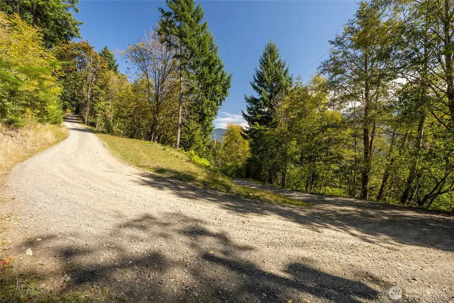 199 Hinkle Tinkle Lane, Packwood, WA 98361 - #3