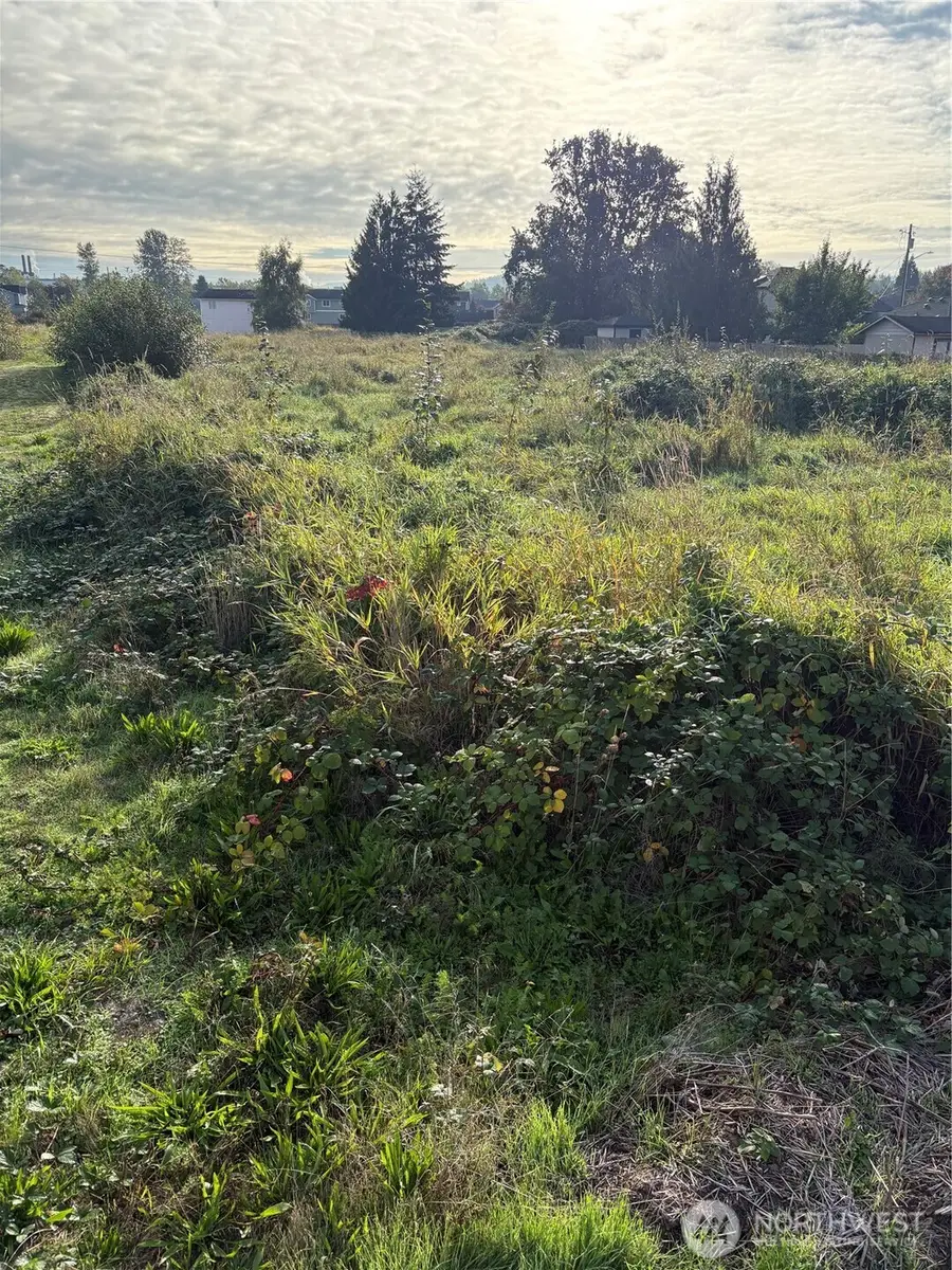 316 3rd Avenue N, Algona, WA 98001 - #2