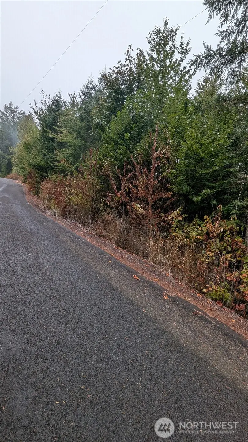 0 Loop Road, Centralia, WA 98531 - #2
