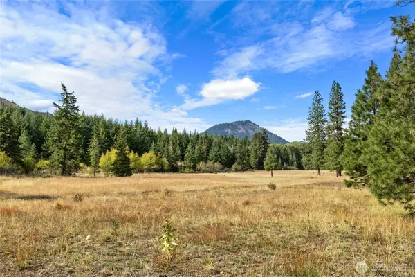 27 Domerie Park Loop #3-17-27, Cle Elum, WA 98922