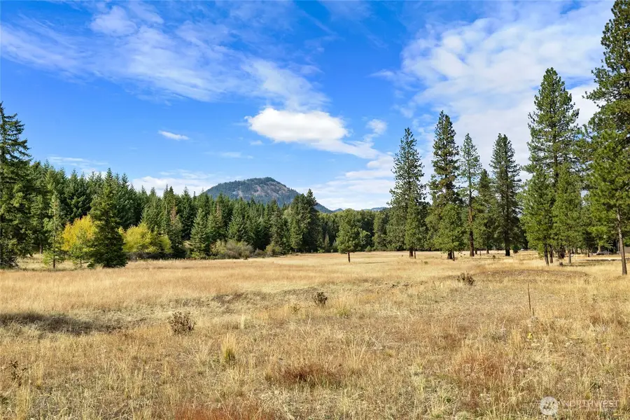 27 Domerie Park Loop #3-17-27, Cle Elum, WA 98922 - #2