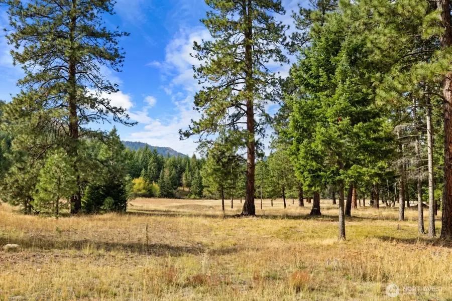 27 Domerie Park Loop #3-17-27, Cle Elum, WA 98922 - #3