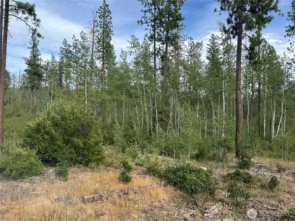 0 Greyback Mt Road #5, Goldendale, WA 98620