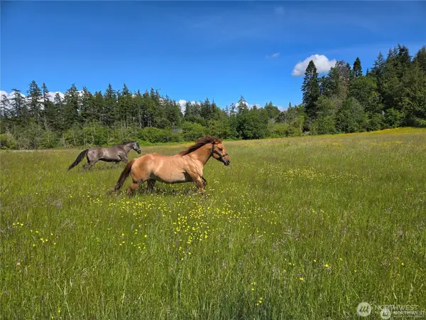 1050 Promise Lane, Camano Island, WA 98282